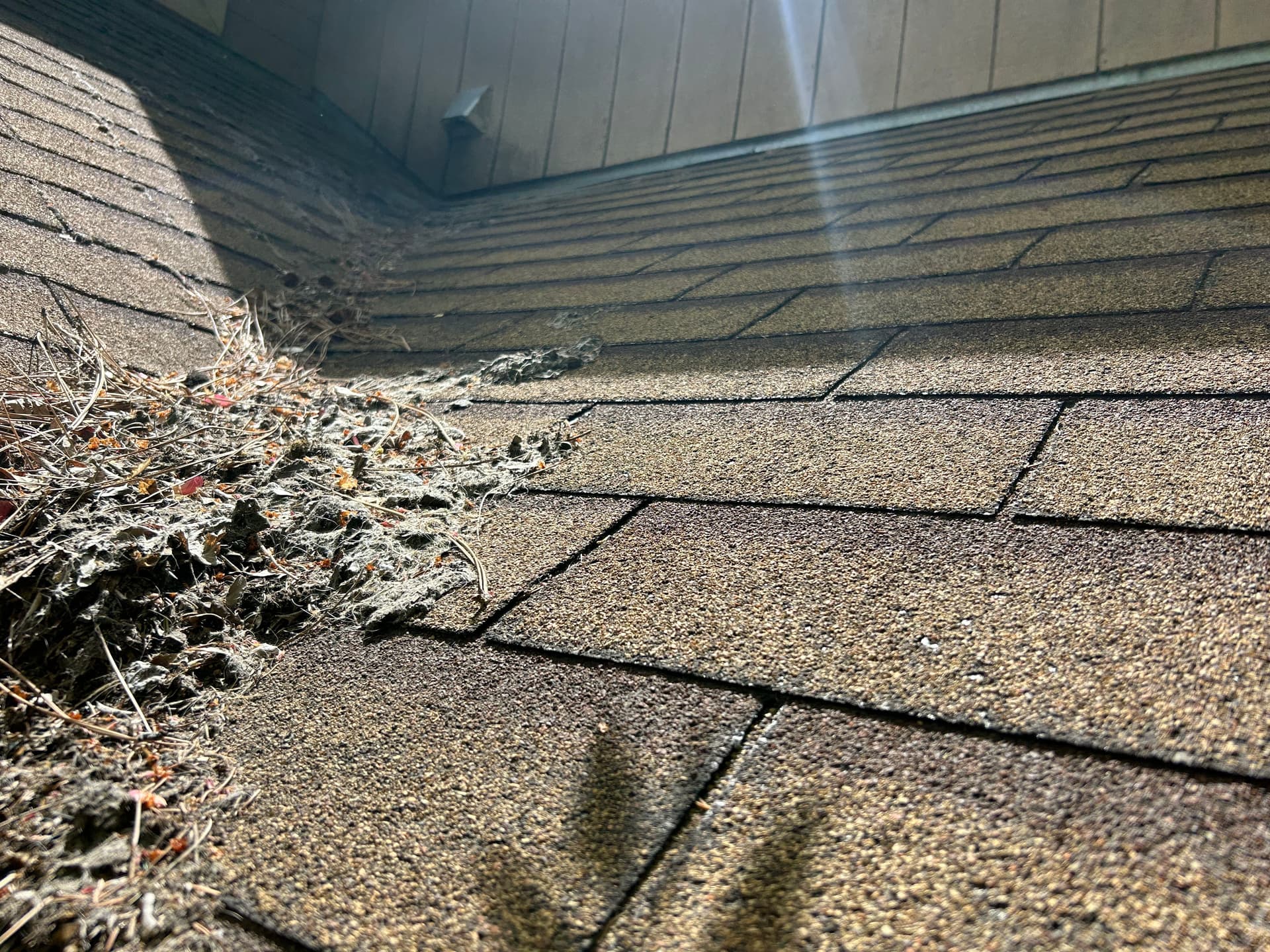 Gallery photos for When a Bend OR Roof Has Been Ignored Too Long: Image #2