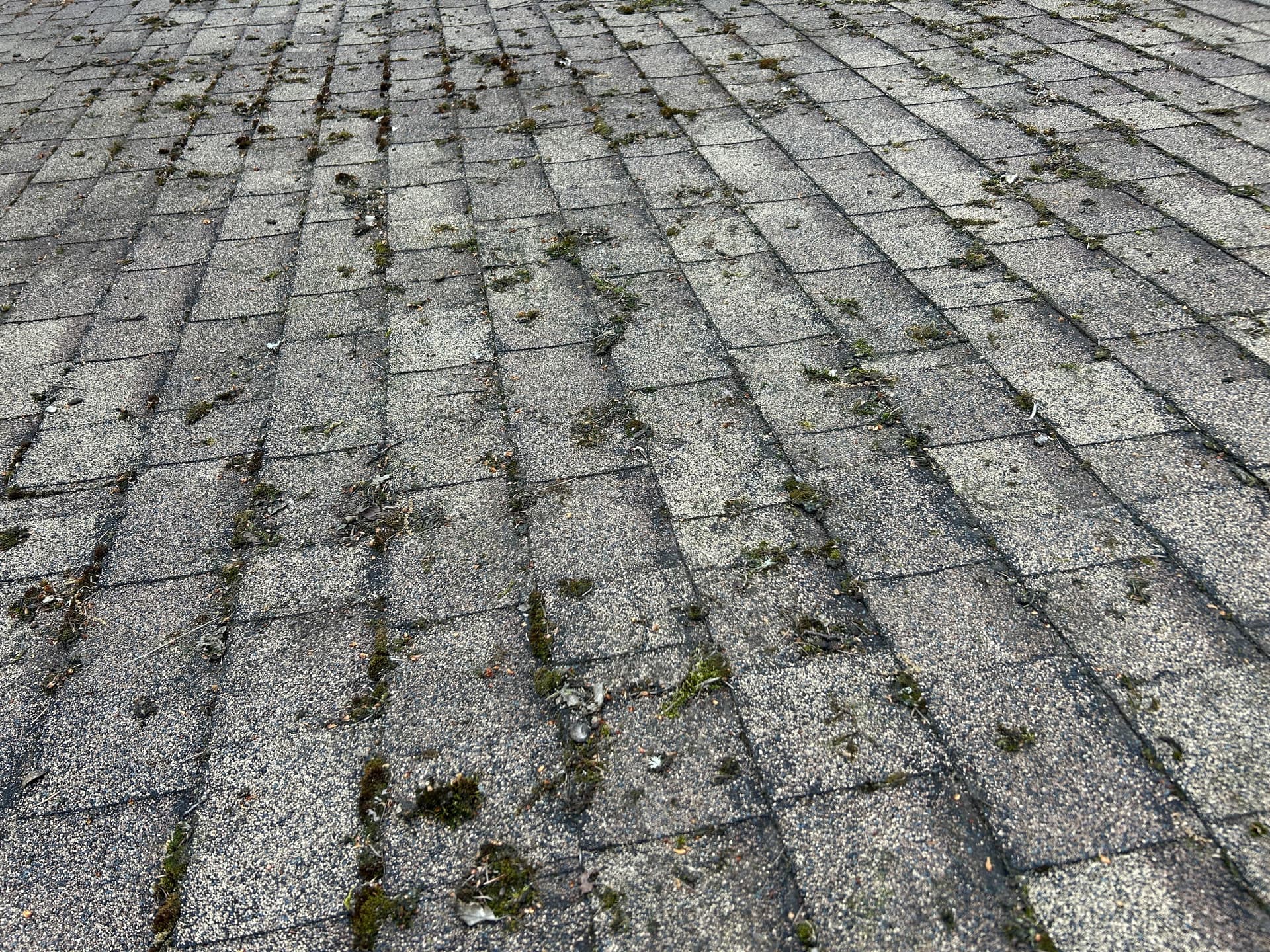 Gallery photos for Roof Inspection Reveals Hidden Problems Killing This Roof Early: Image #4