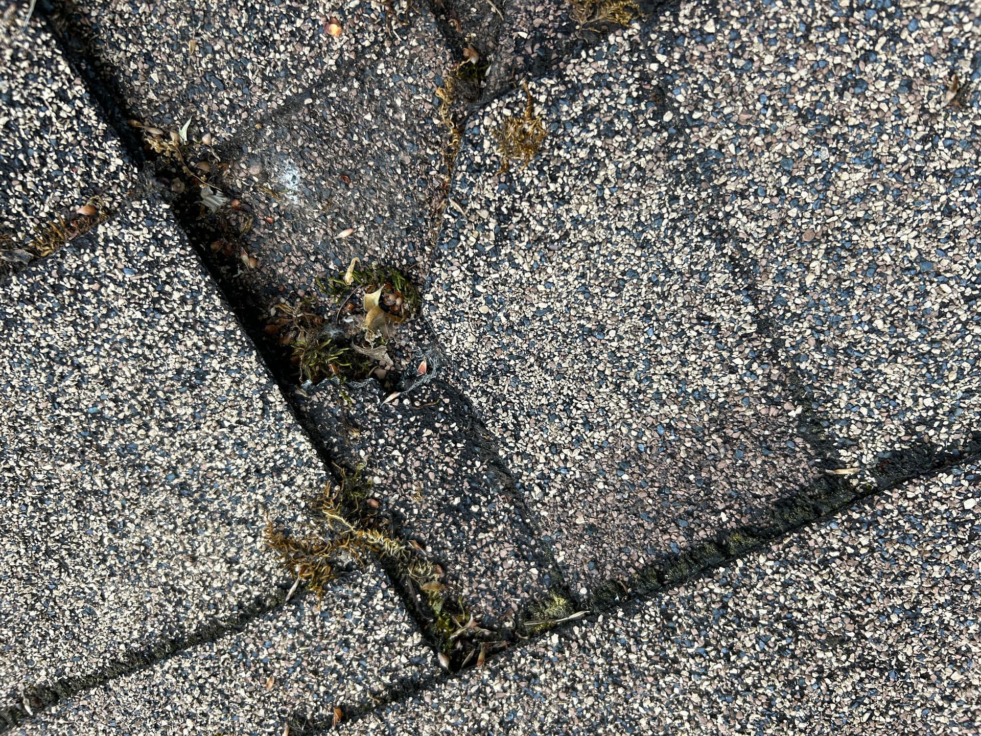 Gallery photos for Roof Inspection Reveals Hidden Problems Killing This Roof Early: Image #5
