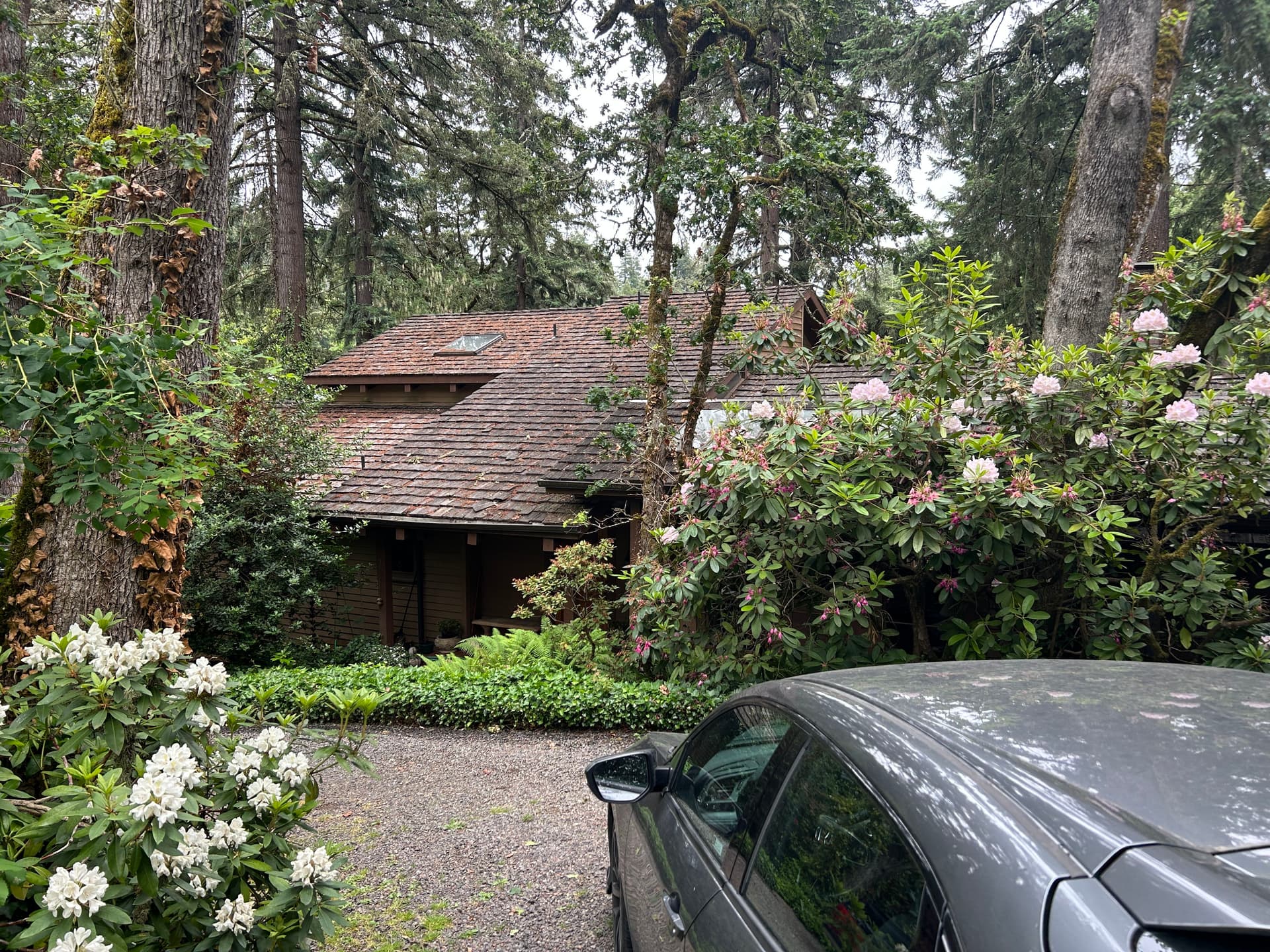 Gallery photos for Wood Rot and Dry Rot Found on a Beautiful Older Home Roof Inspection: Image #6