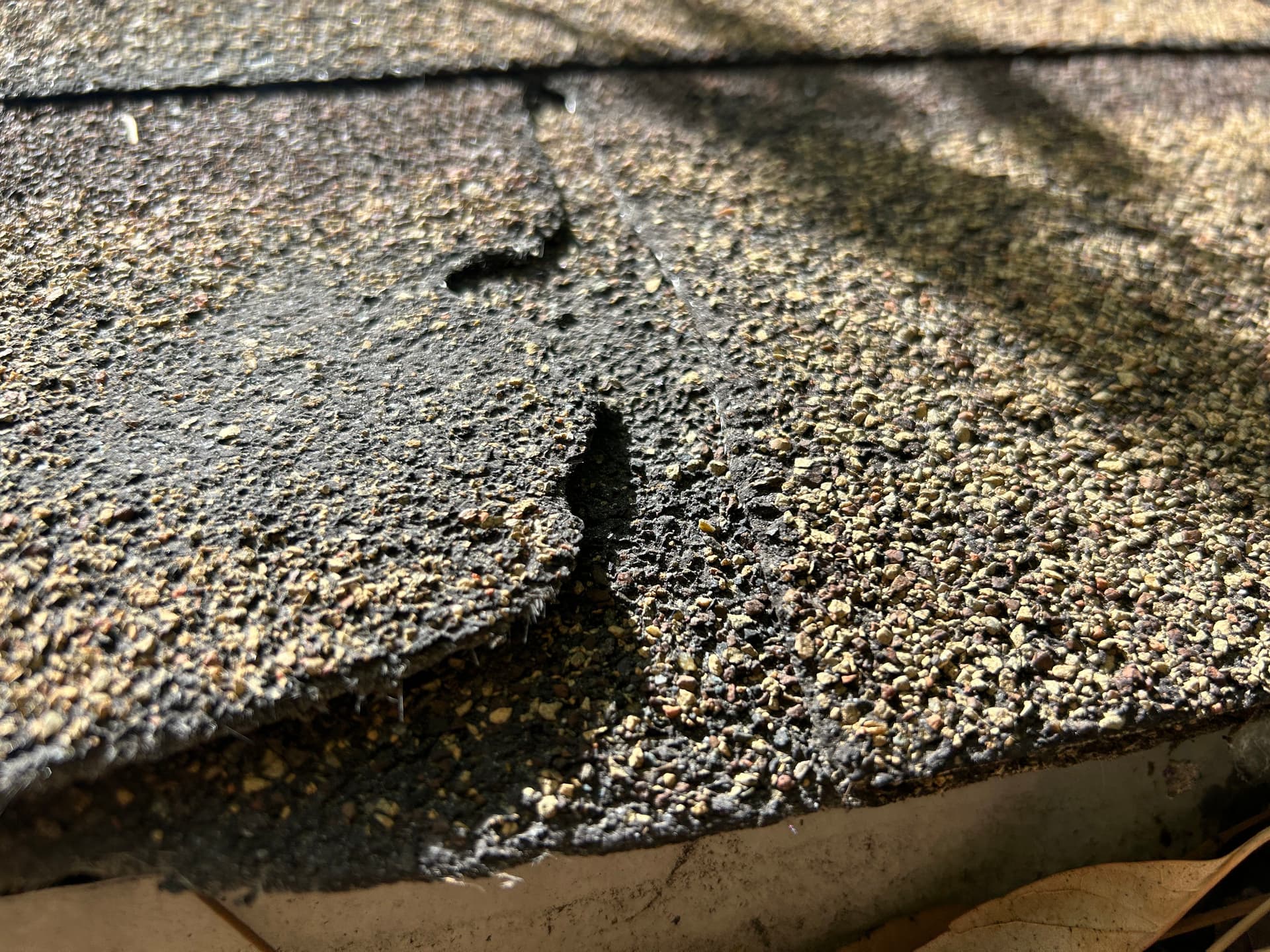 Gallery photos for When a Bend OR Roof Has Been Ignored Too Long: Image #1