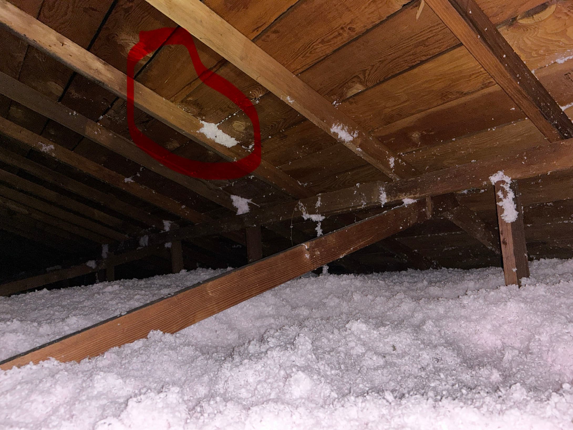 Project Poor Roof Installation Caught Early in Brookings Oregon image