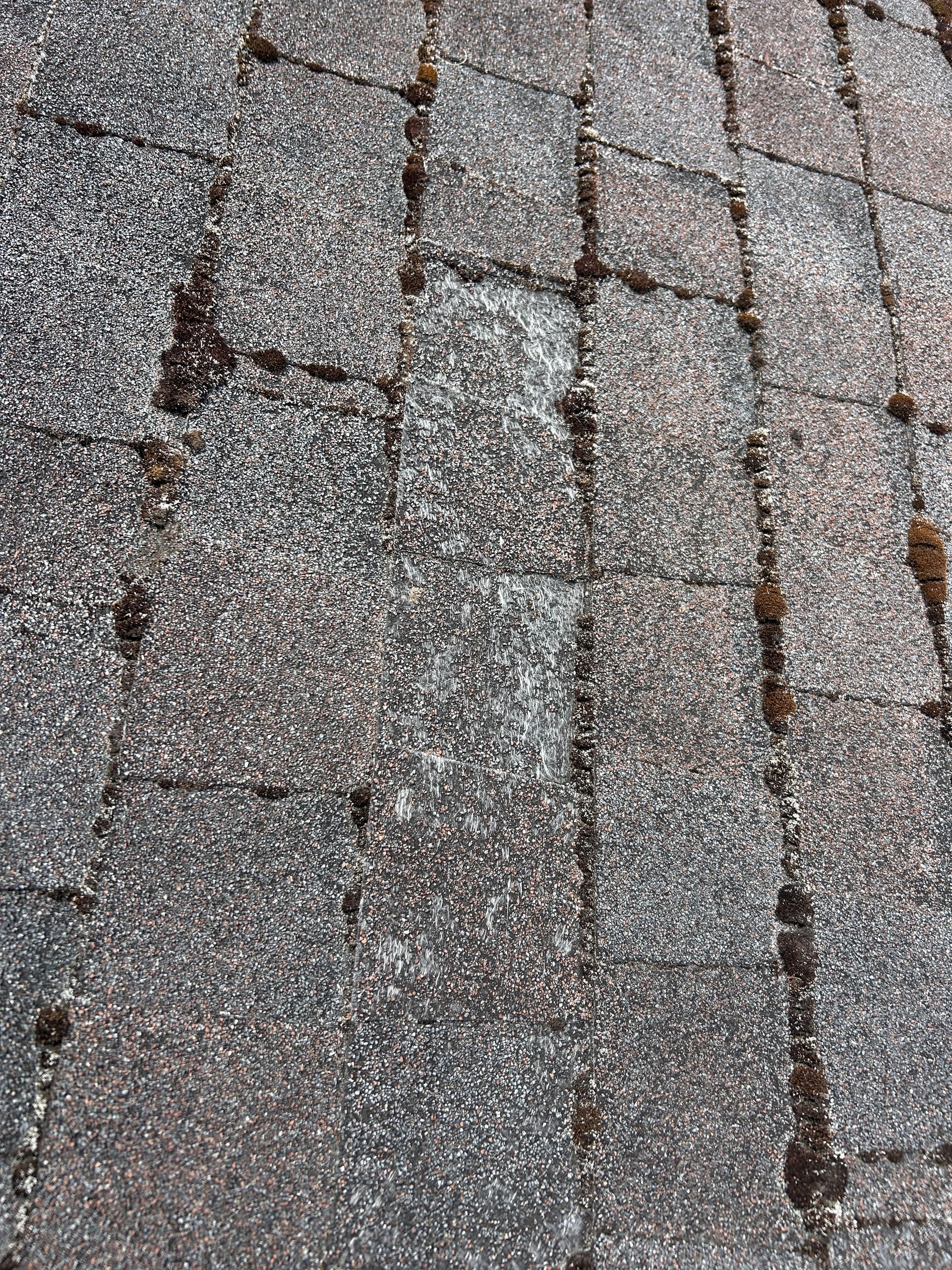 Gallery photos for What a Free Roof Inspection Found in Reedsport: Image #1