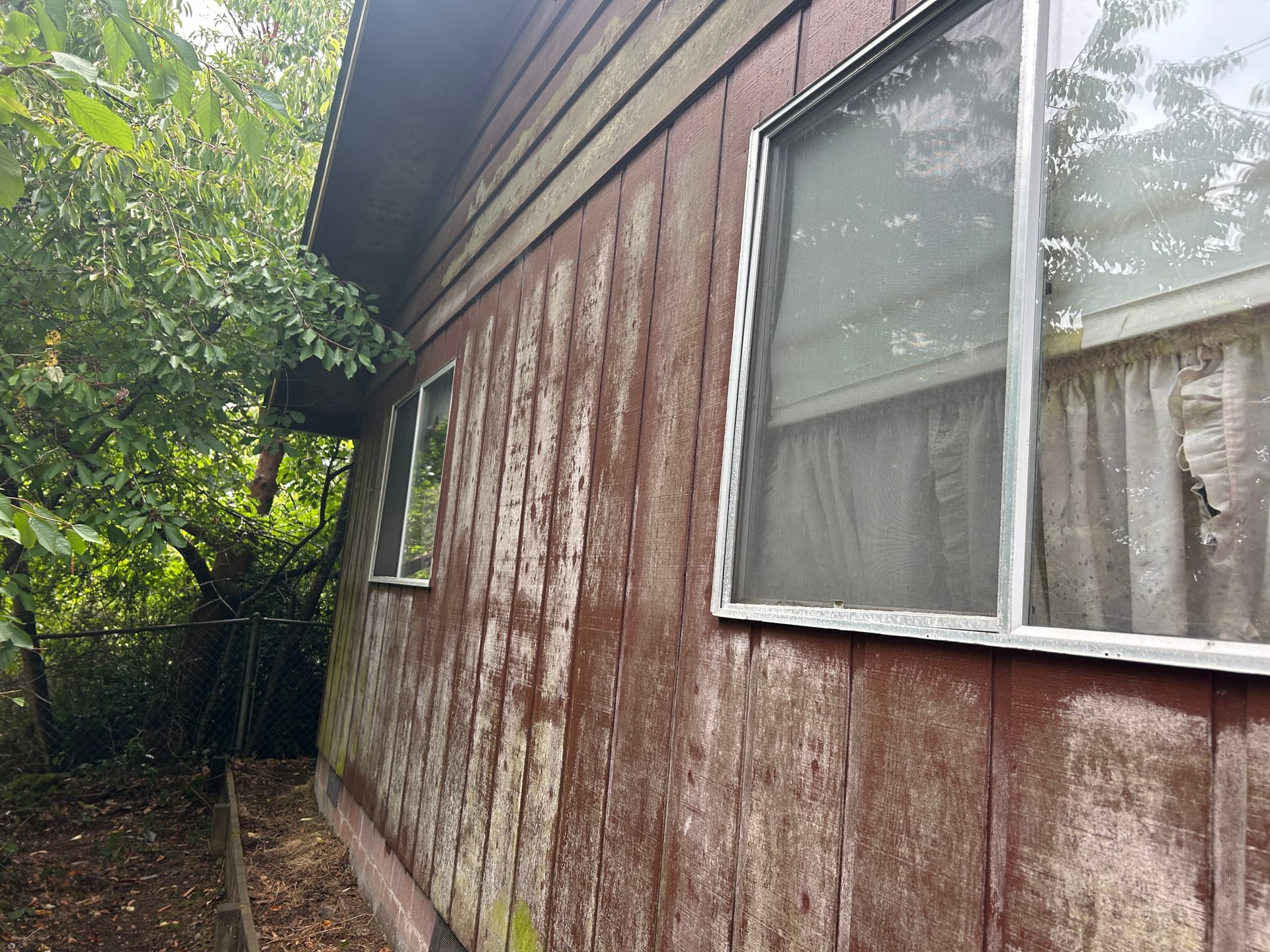 Hidden Moisture Found in North Bend Home Siding and Walls image