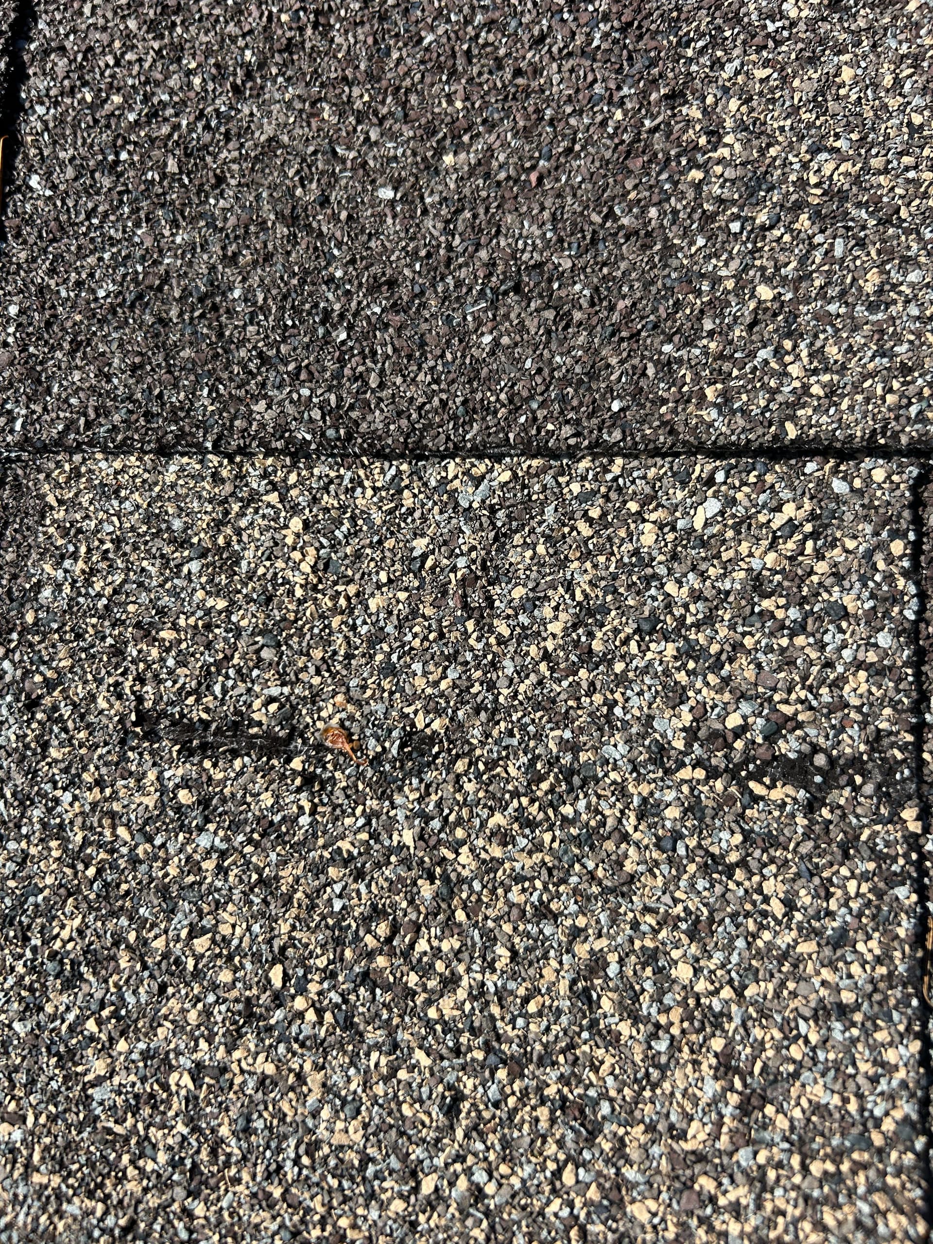 Gallery photos for Roof Leak Inspection and Targeted Repairs in Coos Bay: Image #1