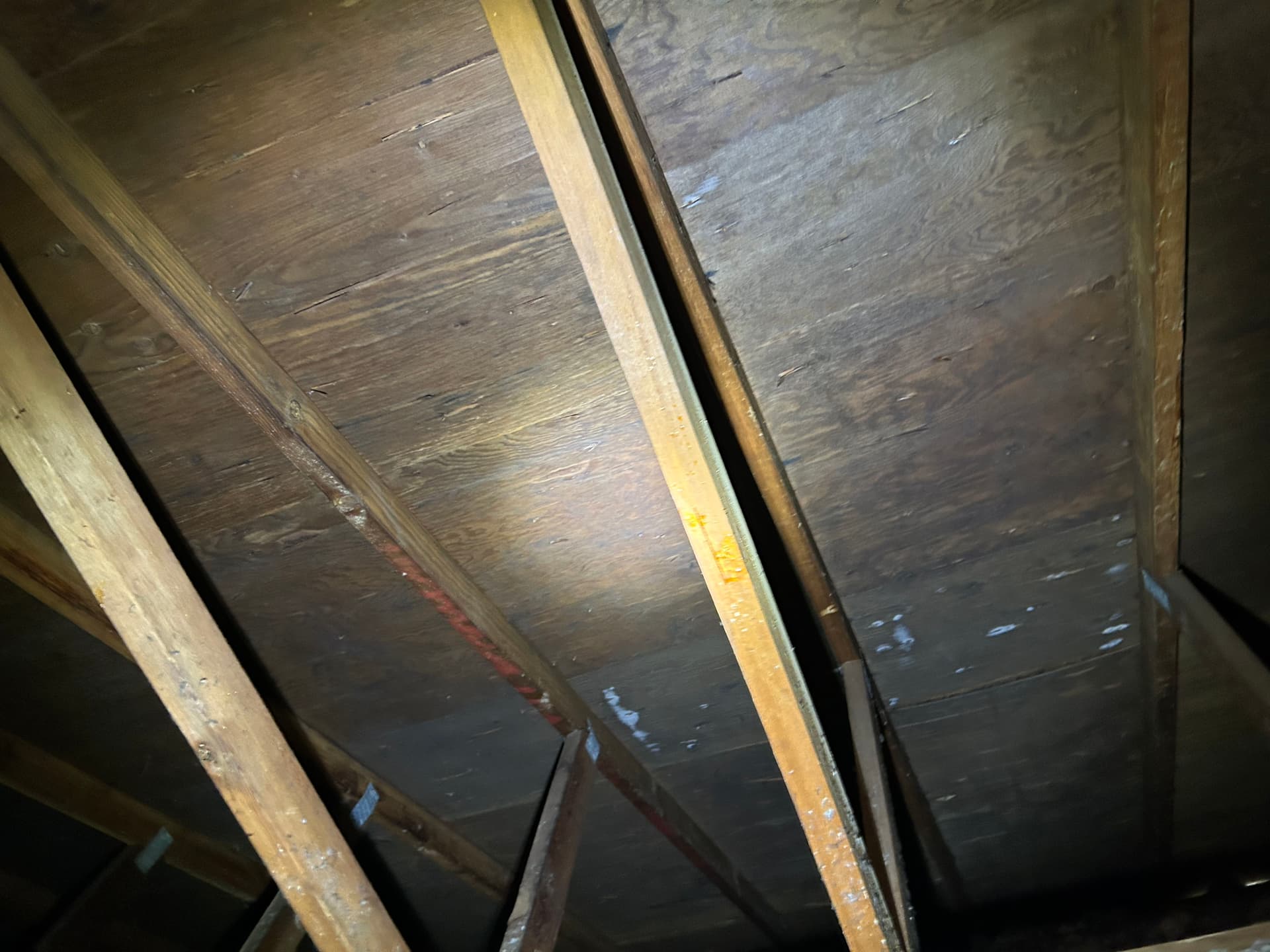 Gallery photos for What a Free Roof Inspection Found in Reedsport: Image #2
