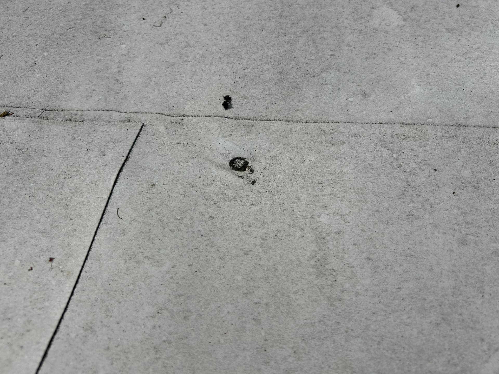 Gallery photos for What an Aging TPO Roof Actually Looks Like Up Close: Image #2