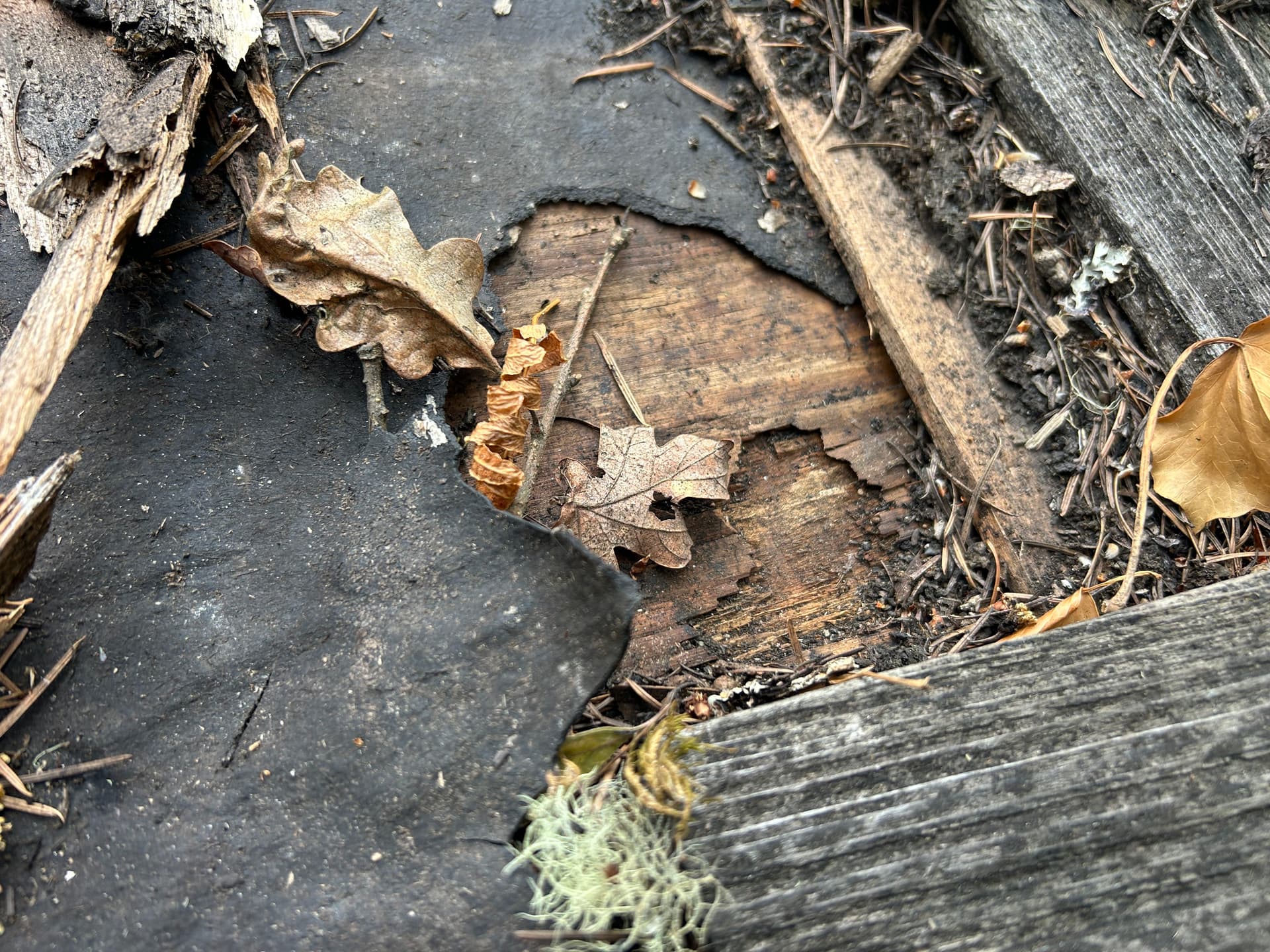 Gallery photos for Wood Rot and Dry Rot Found on a Beautiful Older Home Roof Inspection: Image #5