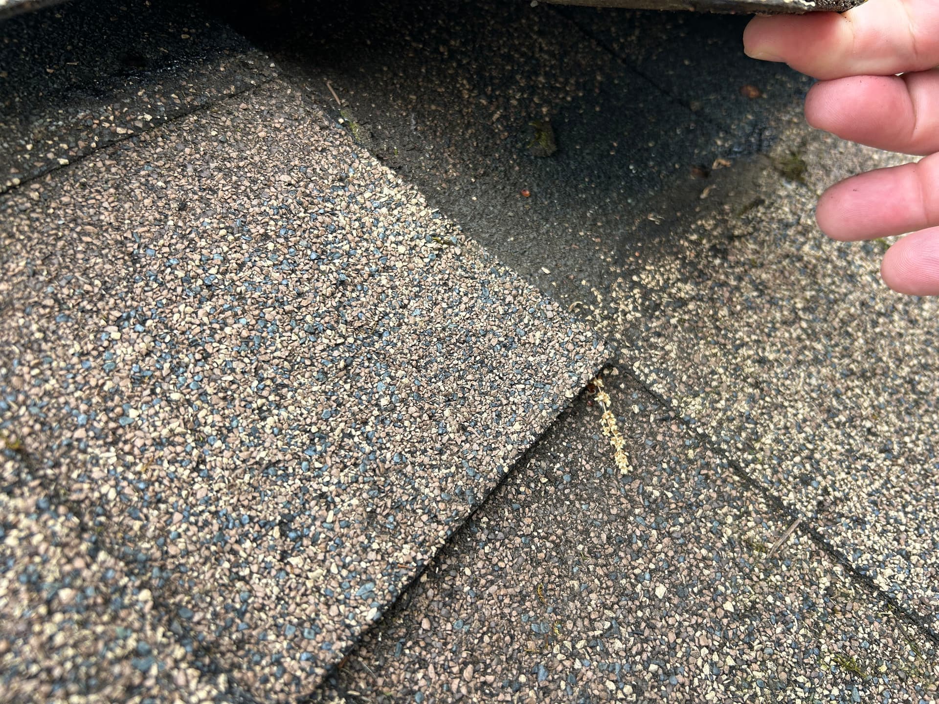Gallery photos for Roof Inspection Reveals Hidden Problems Killing This Roof Early: Image #3