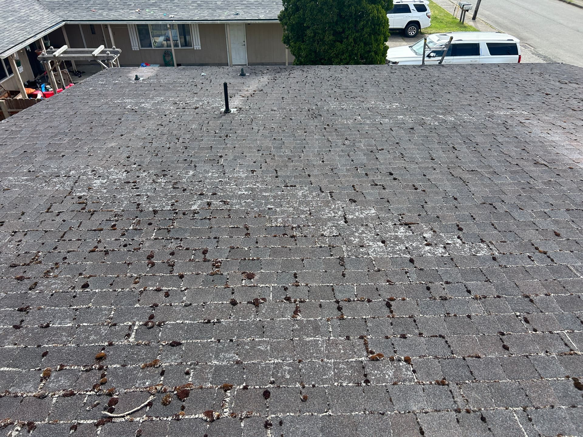 What a Free Roof Inspection Found in Reedsport image