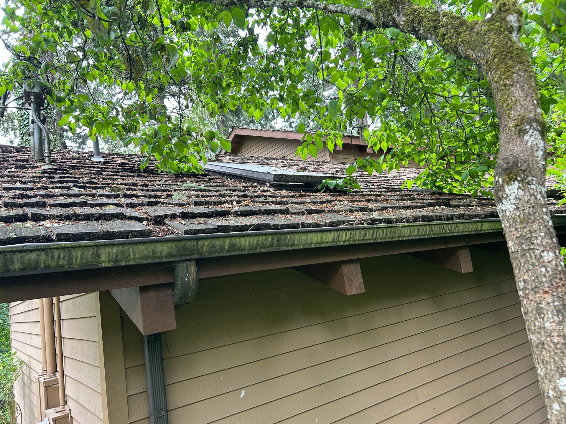 Gallery photos for Wood Rot and Dry Rot Found on a Beautiful Older Home Roof Inspection: Image #1
