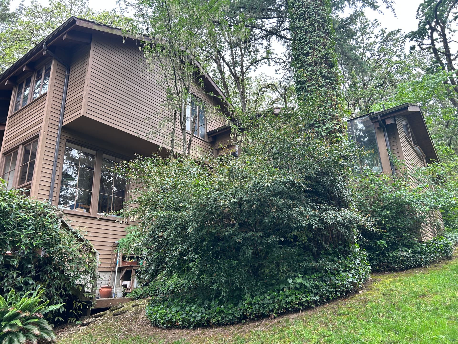 Gallery photos for Wood Rot and Dry Rot Found on a Beautiful Older Home Roof Inspection: Image #3