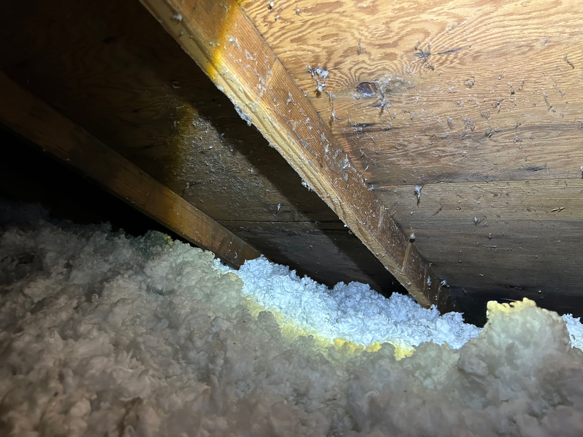 Gallery photos for Roof Inspection Reveals Hidden Problems Killing This Roof Early: Image #1