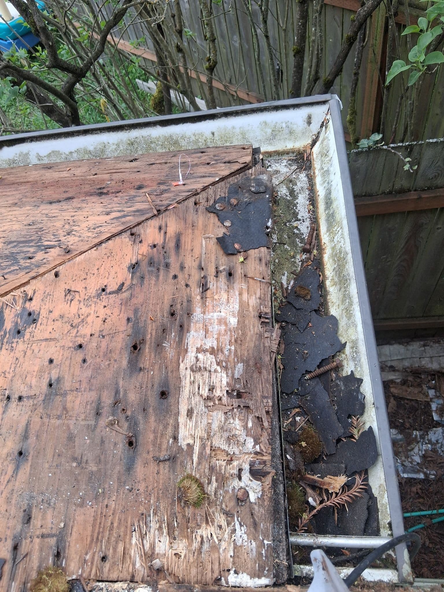 Gallery photos for Full Roof Replacement With Rotten Decking and Structural Repairs: Image #3