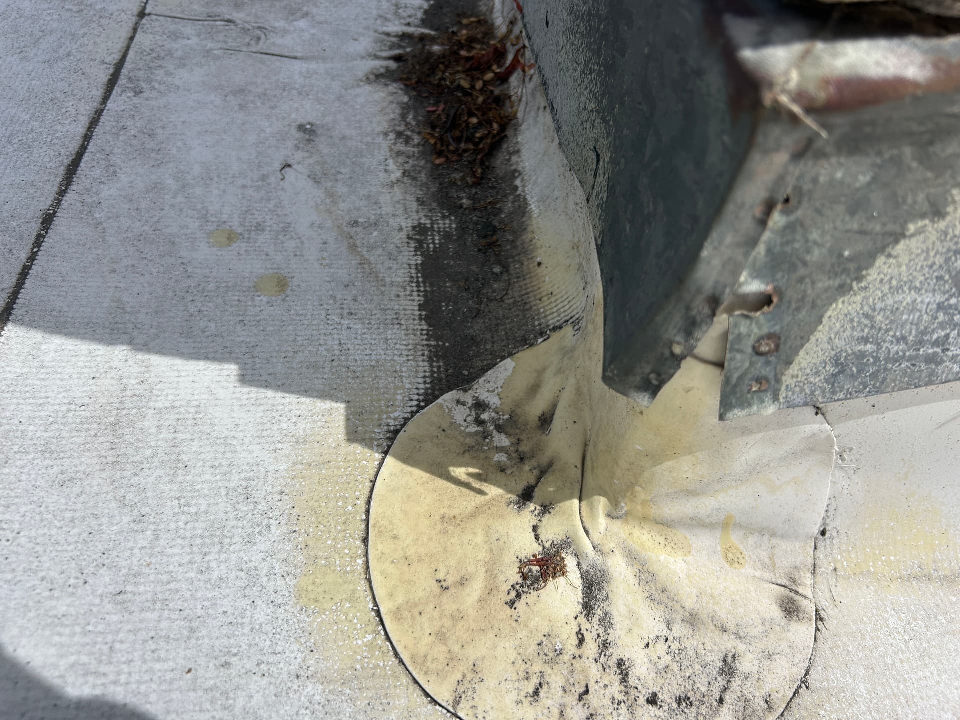 Gallery photos for What an Aging TPO Roof Actually Looks Like Up Close: Image #1
