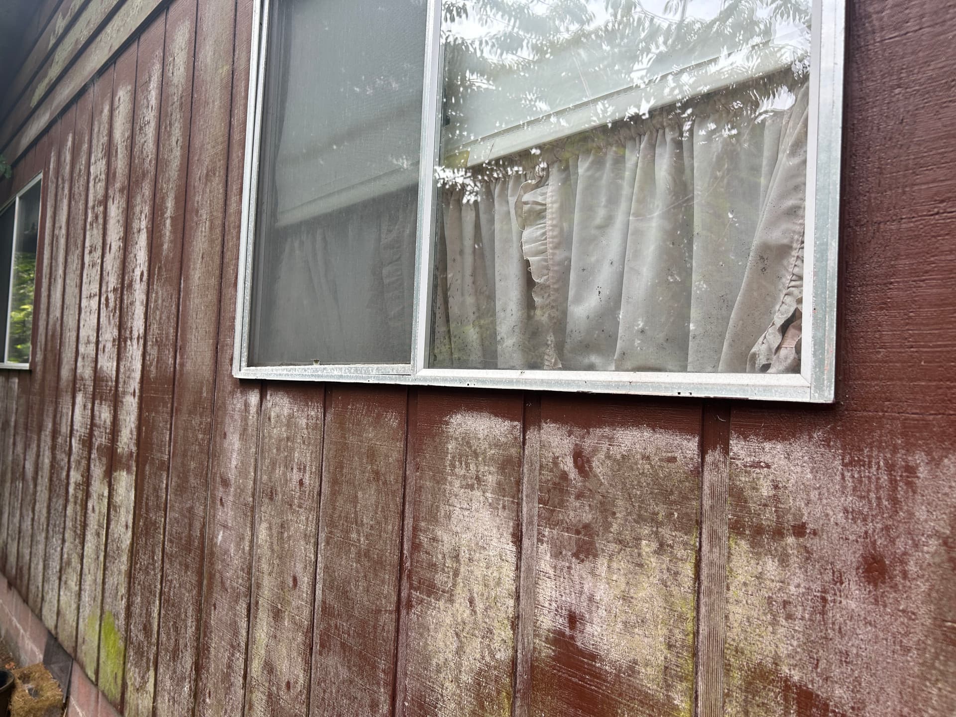 Gallery photos for Hidden Moisture Found in North Bend Home Siding and Walls: Image #1