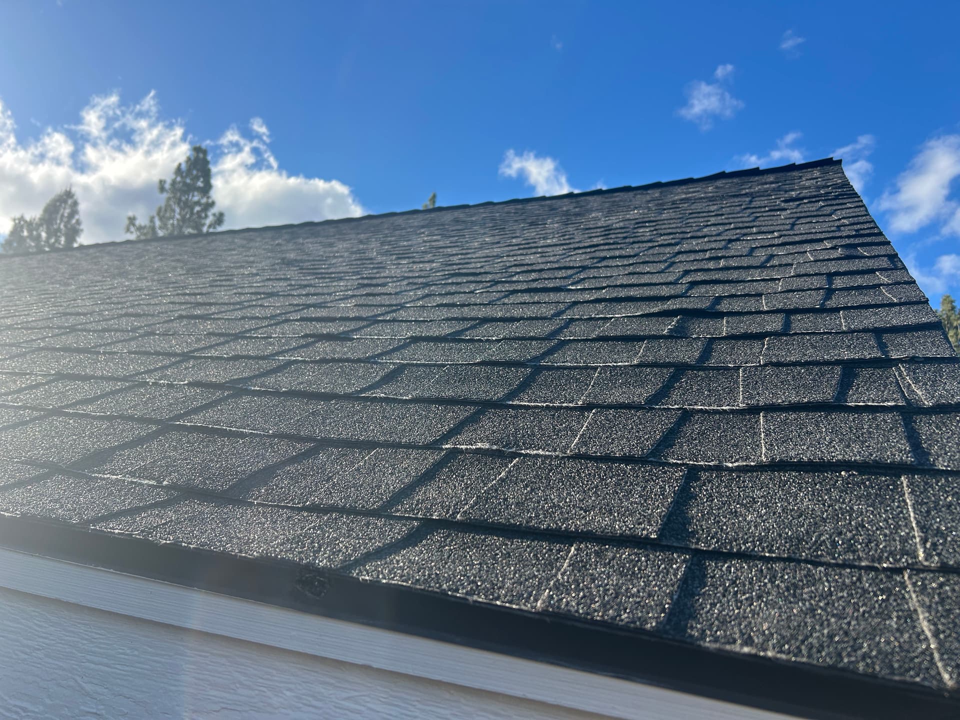 Gallery photos for When a Roof Fails Way Too Soon - Here's Why It Happens: Image #2