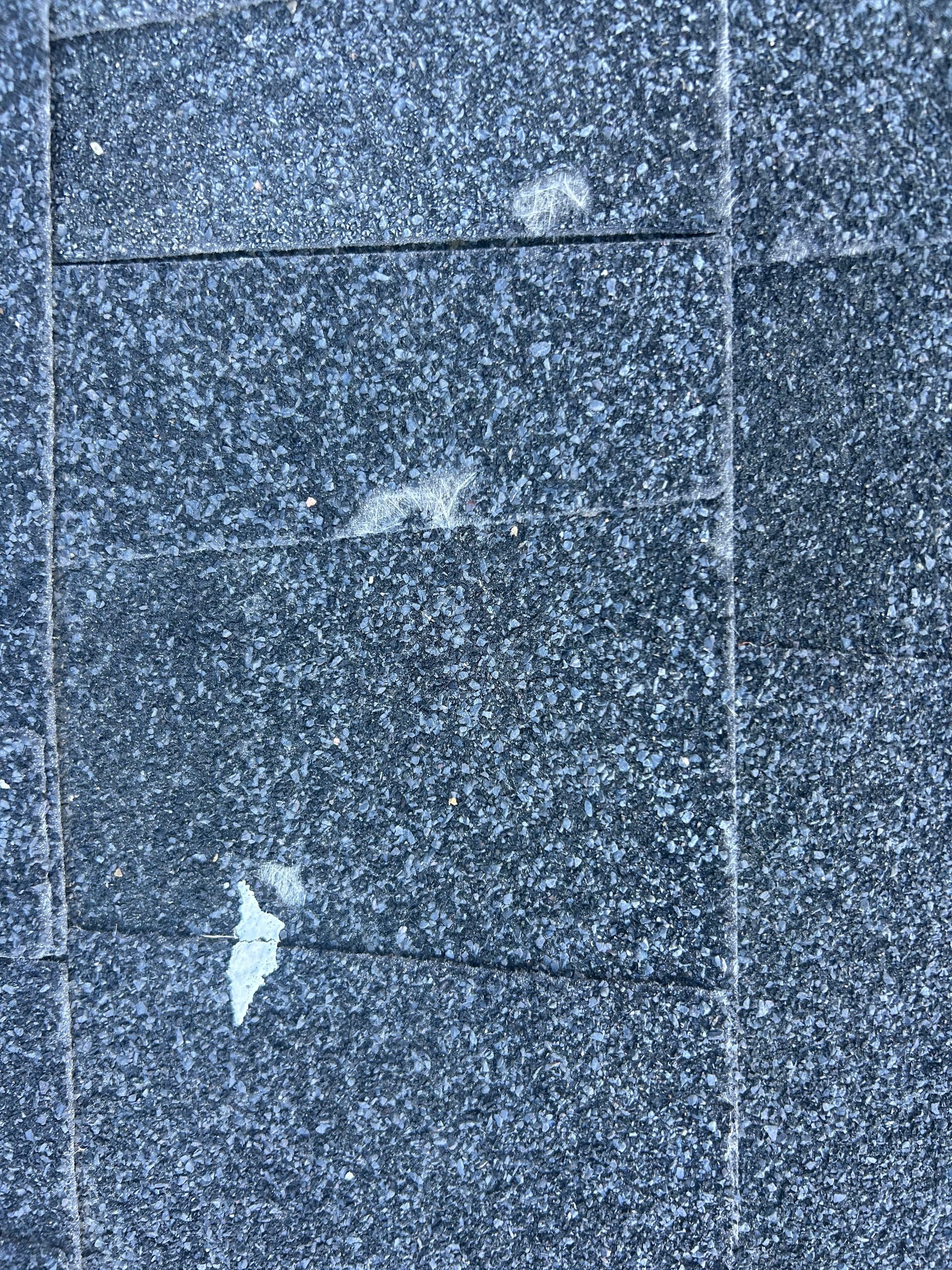 Gallery photos for When a Roof Fails Way Too Soon - Here's Why It Happens: Image #1